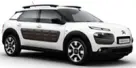 C4 Cactus