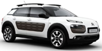 C4 Cactus