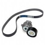 Peugeot 308 P5 V Kayış Gergi Seti Orjinal (1688197180)