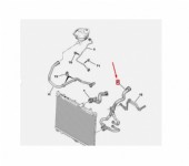 Peugeot 2008 P24E Radyatör Alt Hortumu 1.5 Dizel Orjinal